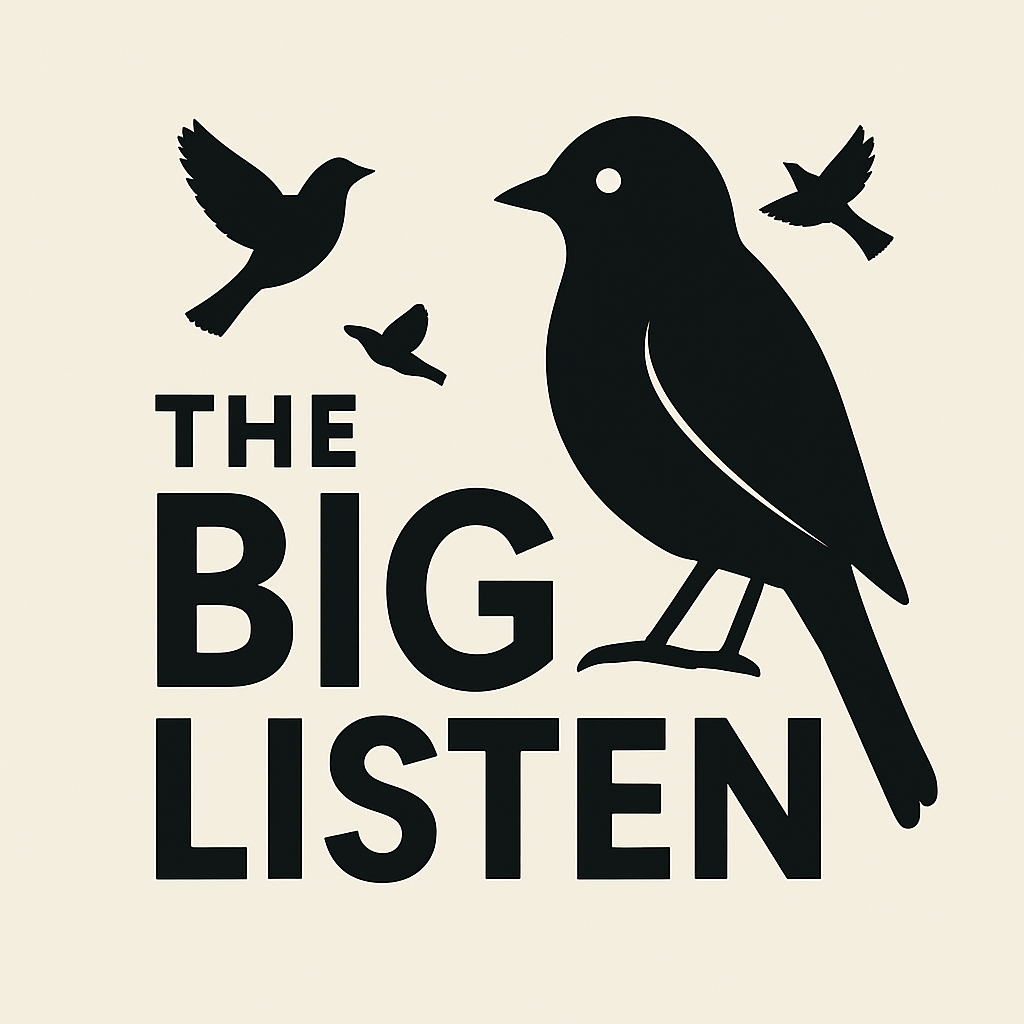 Big Listen